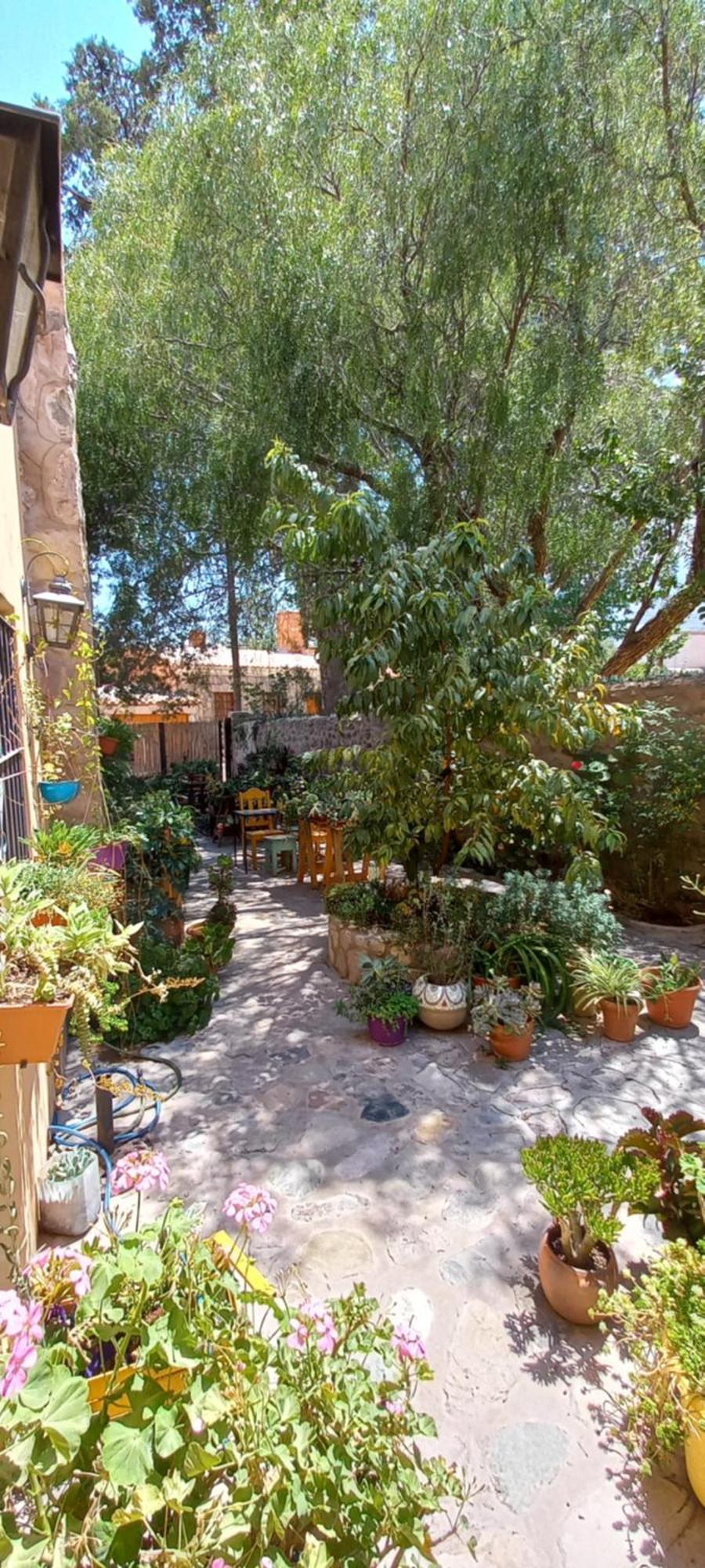 En El Vivero Apartment