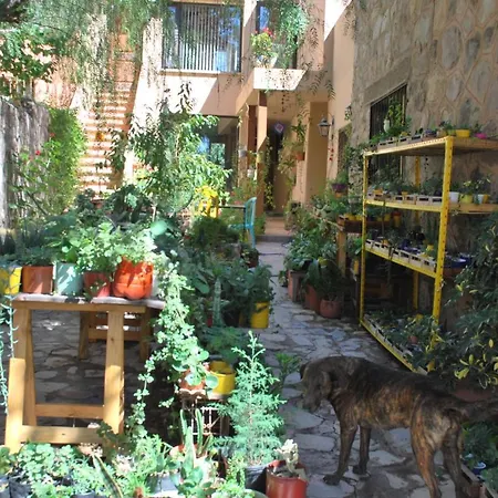 Apartamento En El Vivero Tilcara Exterior photo