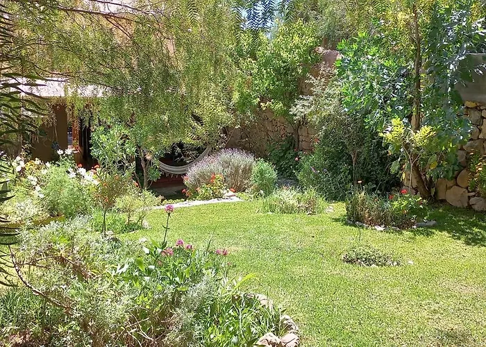 Apartamento En El Vivero