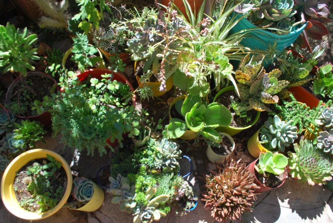 Apartamento En El Vivero Tilcara