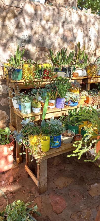 Apartamento En El Vivero Tilcara